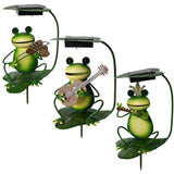 Daddo The Frog Lamp