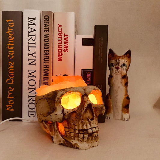 Skull & Bones (Pakistan Himalayan Crystal Salt Lamp)