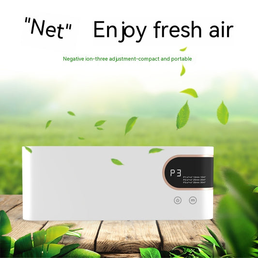 Circuit Core Intelligent Anion Air Purifier